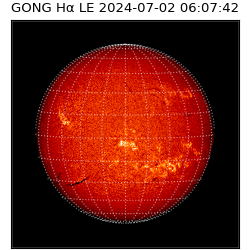 gong - 2024-07-02T06:07:42