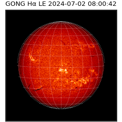 gong - 2024-07-02T08:00:42