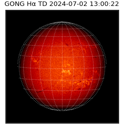 gong - 2024-07-02T13:00:22