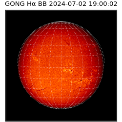 gong - 2024-07-02T19:00:02