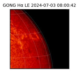 gong - 2024-07-03T08:00:42