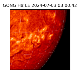 gong - 2024-07-03T03:00:42
