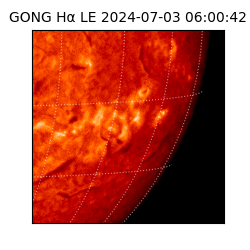 gong - 2024-07-03T06:00:42