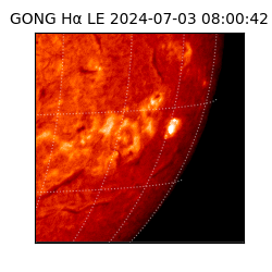 gong - 2024-07-03T08:00:42