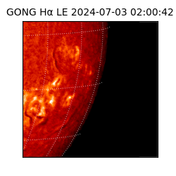 gong - 2024-07-03T02:00:42