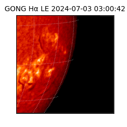 gong - 2024-07-03T03:00:42