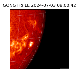 gong - 2024-07-03T08:00:42