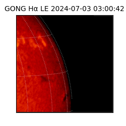 gong - 2024-07-03T03:00:42
