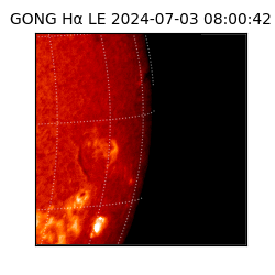 gong - 2024-07-03T08:00:42