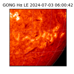 gong - 2024-07-03T06:00:42