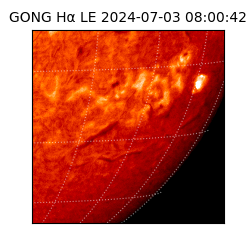 gong - 2024-07-03T08:00:42