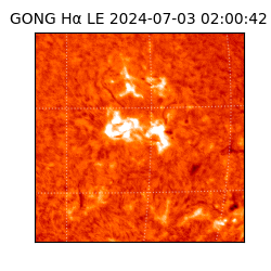 gong - 2024-07-03T02:00:42