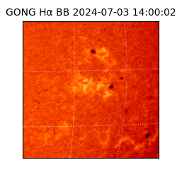 gong - 2024-07-03T14:00:02