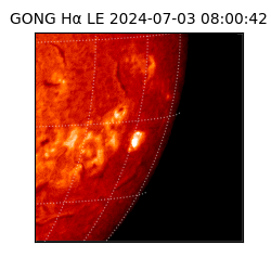 gong - 2024-07-03T08:00:42