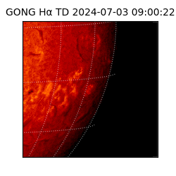 gong - 2024-07-03T09:00:22