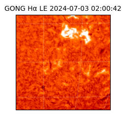 gong - 2024-07-03T02:00:42