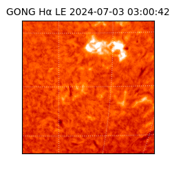 gong - 2024-07-03T03:00:42