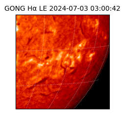 gong - 2024-07-03T03:00:42