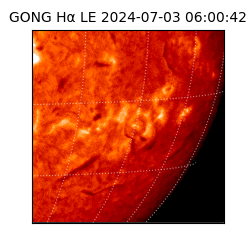 gong - 2024-07-03T06:00:42
