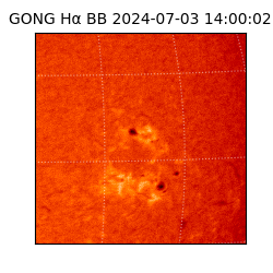 gong - 2024-07-03T14:00:02