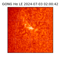 gong - 2024-07-03T02:00:42