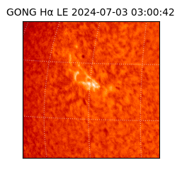 gong - 2024-07-03T03:00:42