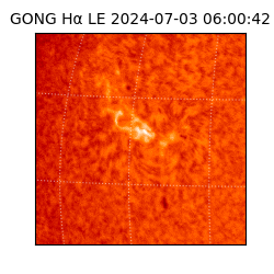 gong - 2024-07-03T06:00:42