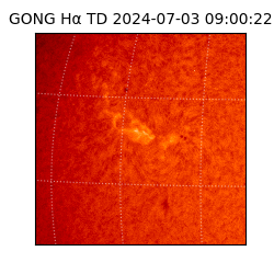 gong - 2024-07-03T09:00:22