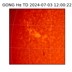 gong - 2024-07-03T12:00:22