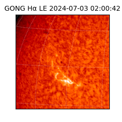 gong - 2024-07-03T02:00:42