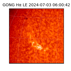 gong - 2024-07-03T06:00:42
