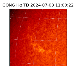 gong - 2024-07-03T11:00:22