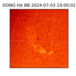 gong - 2024-07-03T19:00:02