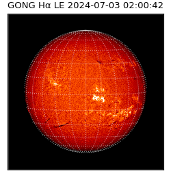 gong - 2024-07-03T02:00:42
