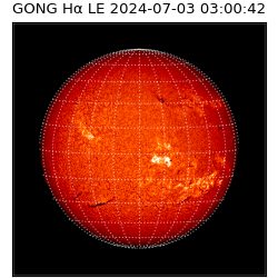 gong - 2024-07-03T03:00:42
