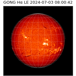 gong - 2024-07-03T08:00:42