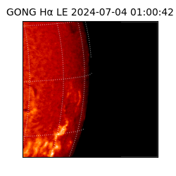 gong - 2024-07-04T01:00:42