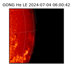 gong - 2024-07-04T06:00:42