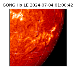 gong - 2024-07-04T01:00:42