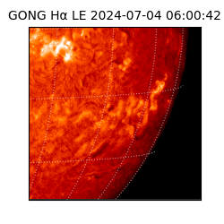 gong - 2024-07-04T06:00:42