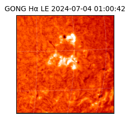 gong - 2024-07-04T01:00:42