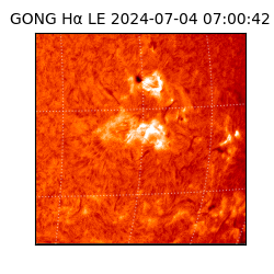 gong - 2024-07-04T07:00:42