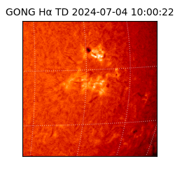 gong - 2024-07-04T10:00:22