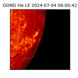 gong - 2024-07-04T06:00:42