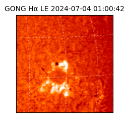 gong - 2024-07-04T01:00:42