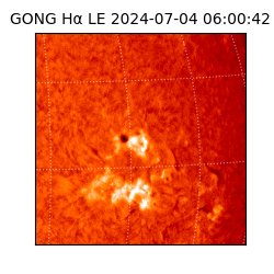 gong - 2024-07-04T06:00:42
