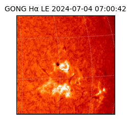 gong - 2024-07-04T07:00:42