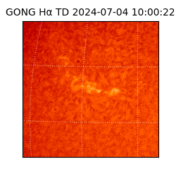 gong - 2024-07-04T10:00:22