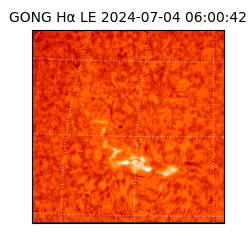 gong - 2024-07-04T06:00:42