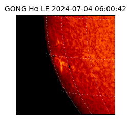 gong - 2024-07-04T06:00:42